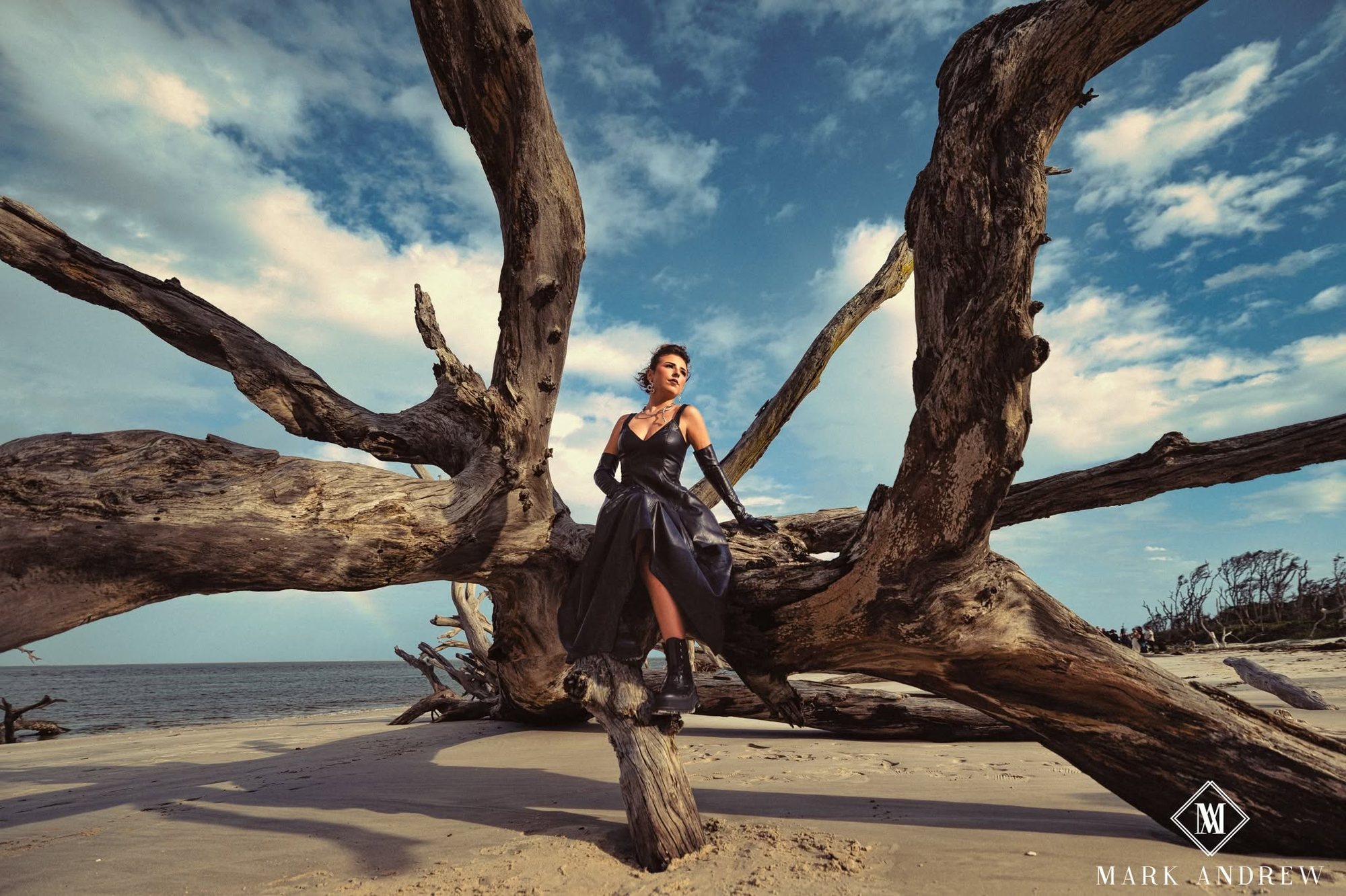 Senior girl in a black gown on driftwood under a dramatic sky — editorial senior portraits